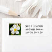 熱帯白プルメリア – 新しい始結婚まり ラベル (インサイチュ)