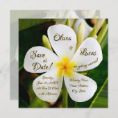 熱帯白プルメリア – 新しい始結婚まり 招待状 (正面/裏面)