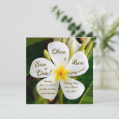 熱帯白プルメリア – 新しい始結婚まり 招待状 (スタンド正面)