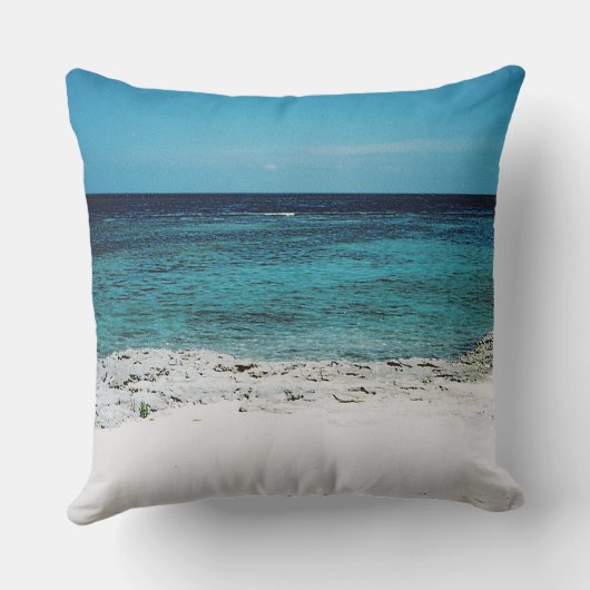 熱帯眼枕 クッション (裏面)