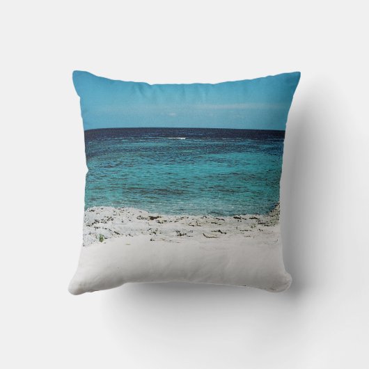 熱帯眼枕 クッション (裏面)