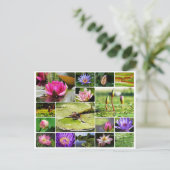 熱帯睡蓮フォトコラージュ自然開花 ポストカード (スタンド正面)