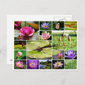 熱帯睡蓮フォトコラージュ自然開花 ポストカード (正面/裏面)