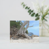 熱帯砂ビーチ ポストカード (スタンド正面)