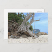 熱帯砂ビーチ ポストカード (正面/裏面)