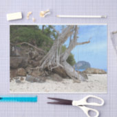 熱帯砂ビーチ 薄葉紙 (クラフト)