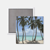 熱帯磁石 マグネット (正面/裏面)