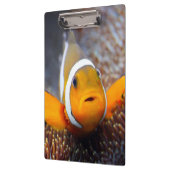 熱帯礁の魚- Clownfish クリップボード (左)