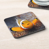 熱帯礁の魚- Clownfish コースター (左側)
