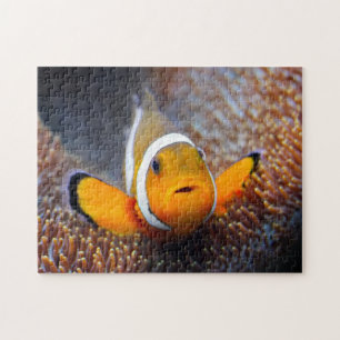 熱帯礁の魚- Clownfish ジグソーパズル