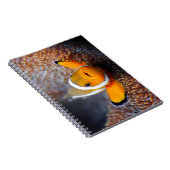 熱帯礁の魚- Clownfish ノートブック (右側)