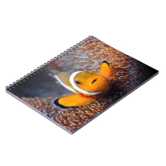 熱帯礁の魚- Clownfish ノートブック (左側)