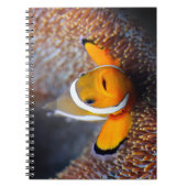 熱帯礁の魚- Clownfish ノートブック (正面)