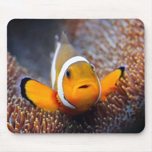 熱帯礁の魚- Clownfish マウスパッド (正面)