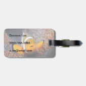 熱帯礁魚-クロウンフィッシュ ラゲッジタグ (裏面横)