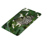 熱帯紙カイトバタフライフレキシマグネット マグネット (左側)