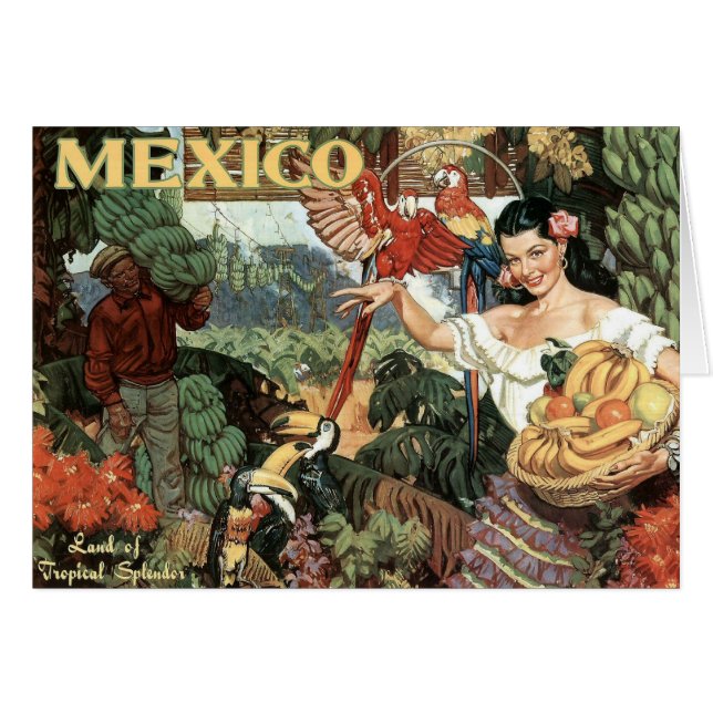 熱帯素晴らしさの土地 (正面横)