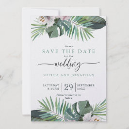 熱帯素朴夏の保存日 シーズンカード