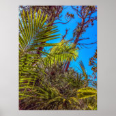 熱帯緑と青空 ポスター (正面)