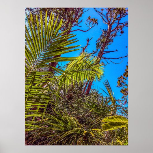 熱帯緑と青空 ポスター (正面)