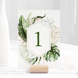 熱帯緑のフローラ表の番号 プログラム