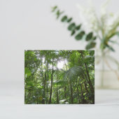 熱帯緑の熱帯雨林の天蓋を通る日光 (スタンド正面)