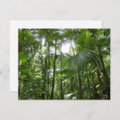 熱帯緑の熱帯雨林の天蓋を通る日光 (正面/裏面)