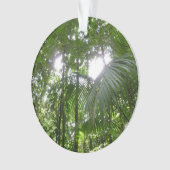 熱帯緑の熱帯雨林の天蓋を通る日光 オーナメント (正面)