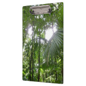 熱帯緑の熱帯雨林の天蓋を通る日光 クリップボード (左)