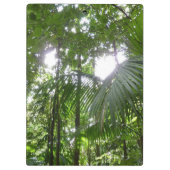 熱帯緑の熱帯雨林の天蓋を通る日光 クリップボード (裏面)