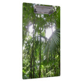 熱帯緑の熱帯雨林の天蓋を通る日光 クリップボード (右)