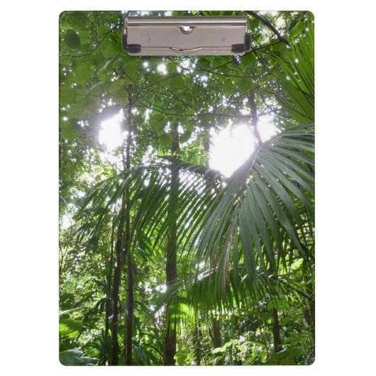 熱帯緑の熱帯雨林の天蓋を通る日光 クリップボード (正面)