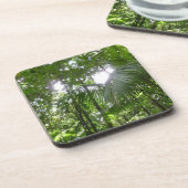 熱帯緑の熱帯雨林の天蓋を通る日光 コースター (左側)