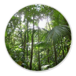 熱帯緑の熱帯雨林の天蓋を通る日光 セラミックノブ