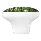 熱帯緑の熱帯雨林の天蓋を通る日光 セラミックノブ (側面)