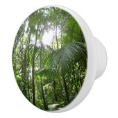 熱帯緑の熱帯雨林の天蓋を通る日光 セラミックノブ (右)