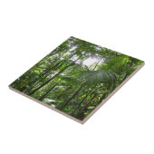 熱帯緑の熱帯雨林の天蓋を通る日光 タイル (側面)