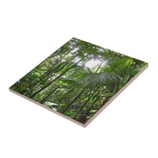 熱帯緑の熱帯雨林の天蓋を通る日光 タイル (側面)