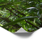 熱帯緑の熱帯雨林の天蓋を通る日光 ポスター (角)