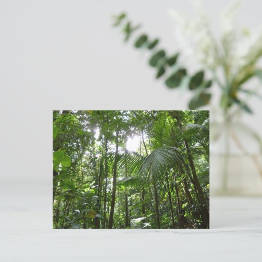 熱帯緑の熱帯雨林の天蓋を通る日光 ポストカード (スタンド正面)