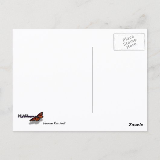 熱帯緑の熱帯雨林の天蓋を通る日光 ポストカード (裏面)