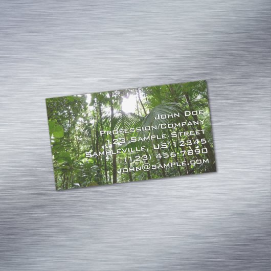 熱帯緑の熱帯雨林の天蓋を通る日光 マグネット名刺 (インサイチュ)