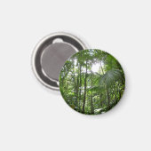 熱帯緑の熱帯雨林の天蓋を通る日光 マグネット (正面/裏面)