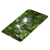 熱帯緑の熱帯雨林の天蓋を通る日光 マグネット (左側)