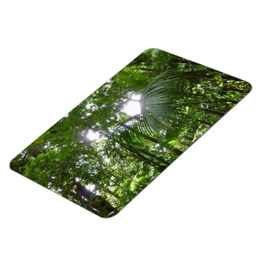 熱帯緑の熱帯雨林の天蓋を通る日光 マグネット (左側)