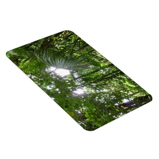 熱帯緑の熱帯雨林の天蓋を通る日光 マグネット (右側)