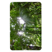 熱帯緑の熱帯雨林の天蓋を通る日光 マグネット (縦)