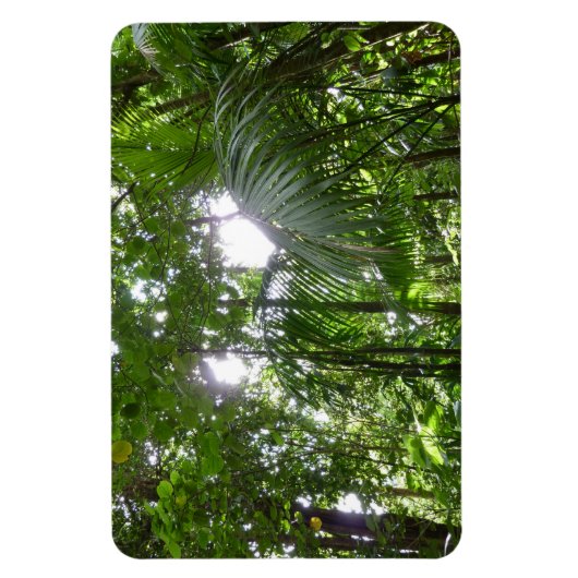 熱帯緑の熱帯雨林の天蓋を通る日光 マグネット (縦)