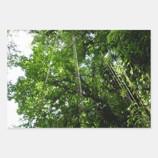 熱帯緑の熱帯雨林の天蓋を通る日光 ラッピングペーパーシート (正面3)