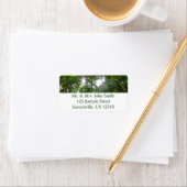 熱帯緑の熱帯雨林の天蓋を通る日光 ラベル (インサイチュ)